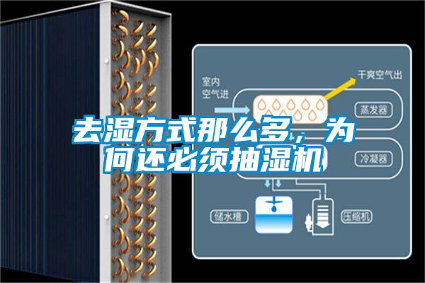 去濕方式那么多,為何還必須抽濕機(jī)