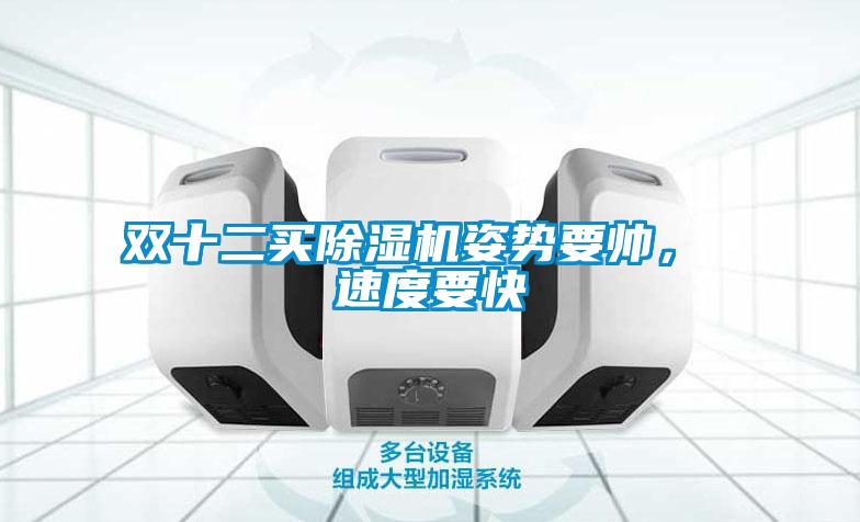 雙十二買除濕機(jī)姿勢要帥, 速度要快