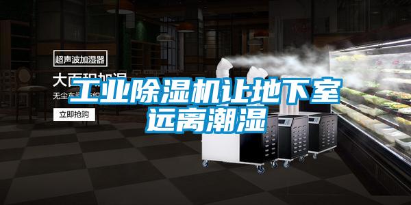 工業(yè)除濕機讓地下室遠(yuǎn)離潮濕