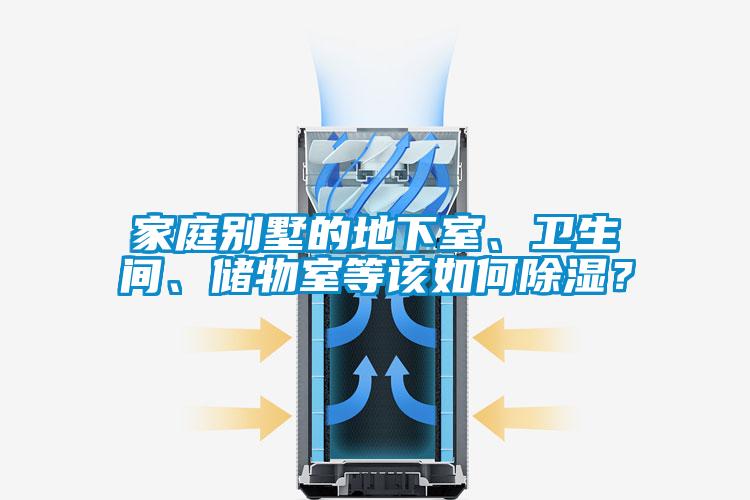 家庭別墅的地下室、衛(wèi)生間、儲(chǔ)物室等該如何除濕?