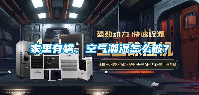 家里有螨，空氣潮濕怎么破？