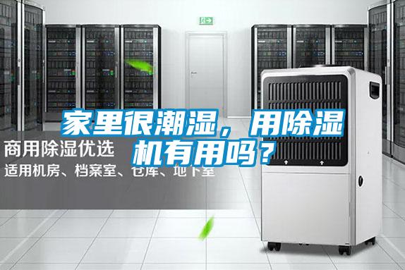 家里很潮濕,用除濕機(jī)有用嗎?