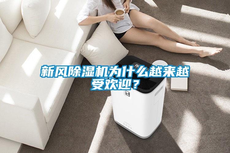 新風(fēng)除濕機(jī)為什么越來越受歡迎?