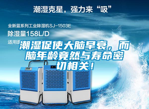 潮濕促使大腦早衰,而腦年齡竟然與壽命密切相關!