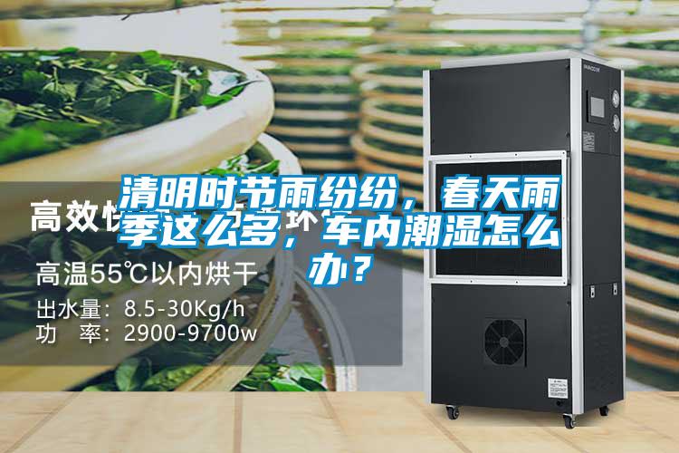 清明時節(jié)雨紛紛，春天雨季這么多，車內(nèi)潮濕怎么辦？