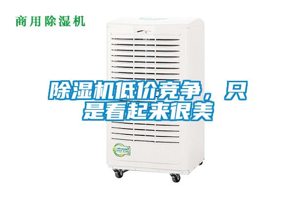 除濕機(jī)低價(jià)競(jìng)爭(zhēng),只是看起來很美
