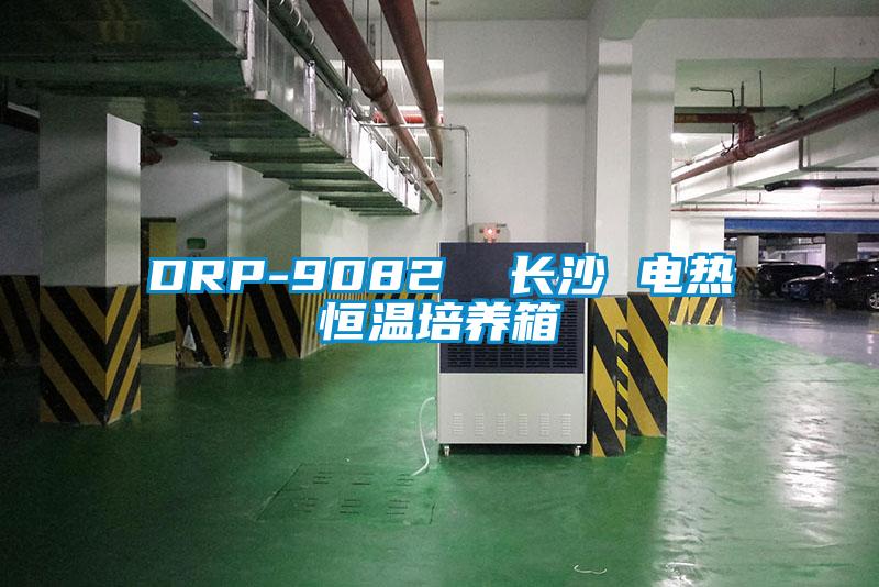 DRP-9082 長沙 電熱恒溫培養箱