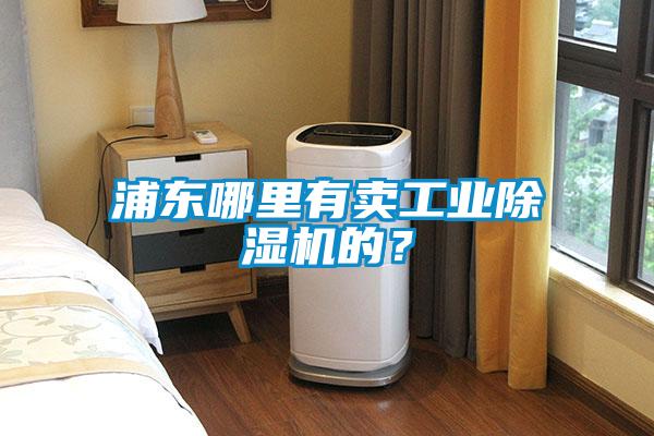 浦東哪里有賣工業除濕機的?