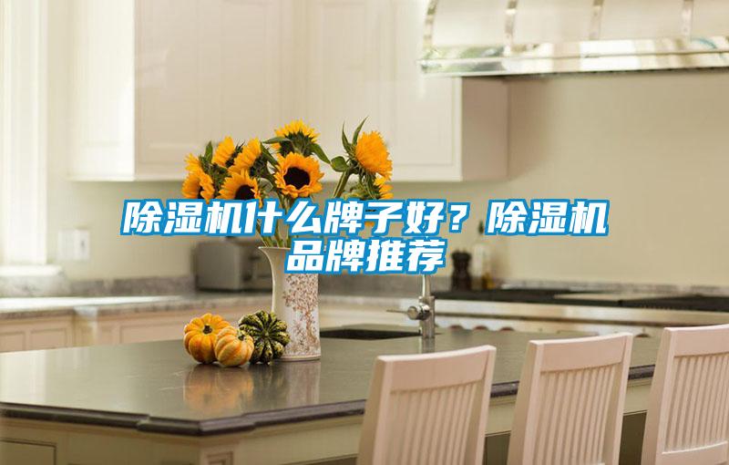 除濕機什么牌子好?除濕機品牌推薦