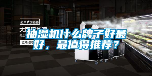 抽濕機什么牌子好最好，最值得推薦？