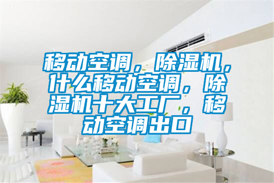 移動空調，除濕機，什么移動空調，除濕機十大工廠，移動空調出口