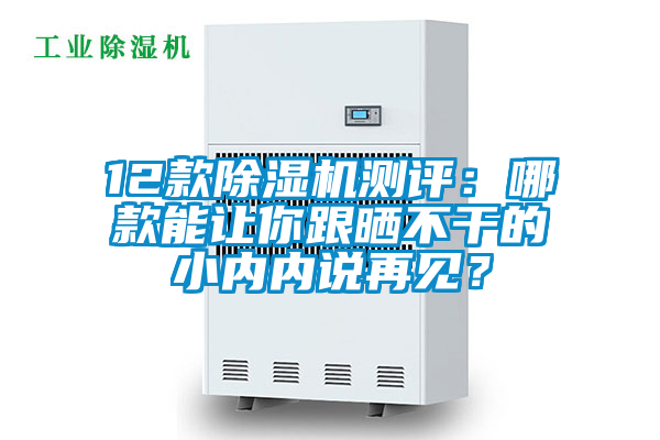 12款除濕機測評：哪款能讓你跟曬不干的小內(nèi)內(nèi)說再見？