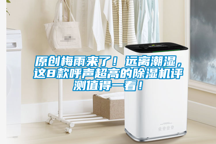 原創(chuàng)梅雨來了!遠(yuǎn)離潮濕,這8款呼聲超高的除濕機評測值得一看!