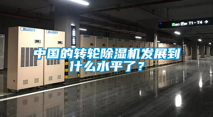 中國的轉輪除濕機發展到什么水平了?