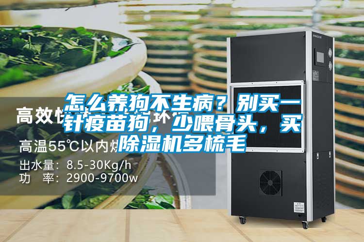 怎么養狗不生病?別買一針疫苗狗,少喂骨頭,買除濕機多梳毛