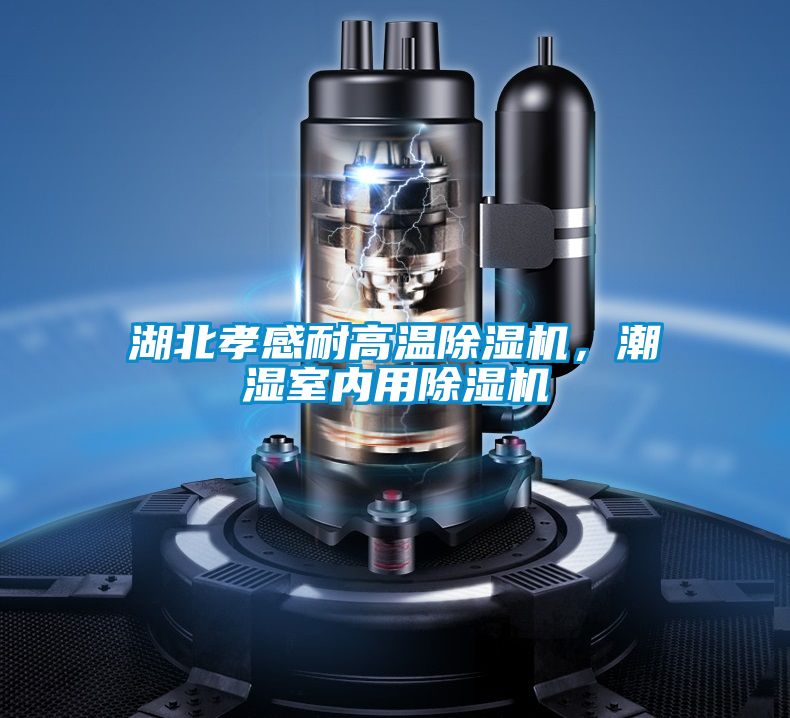湖北孝感耐高溫除濕機,潮濕室內(nèi)用除濕機