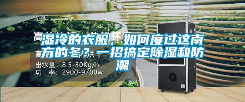 濕冷的衣服,如何度過這南方的冬?一招搞定除濕和防潮