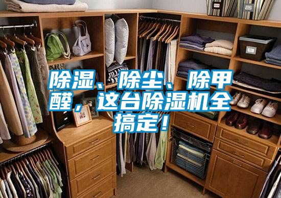 除濕、除塵、除甲醛，這臺除濕機(jī)全搞定！