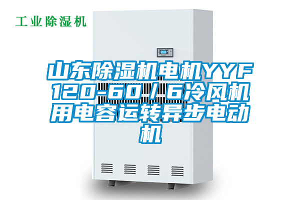 山東除濕機電機YYF120-60/6冷風機用電容運轉異步電動機