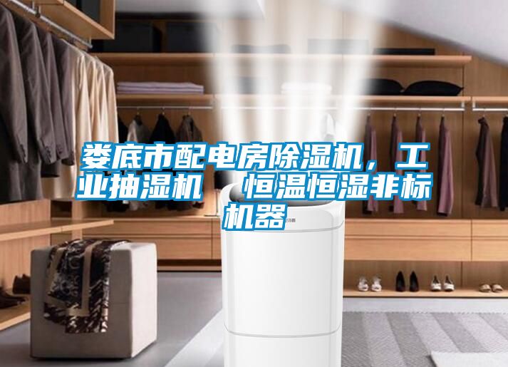婁底市配電房除濕機，工業(yè)抽濕機  恒溫恒濕非標(biāo)機器