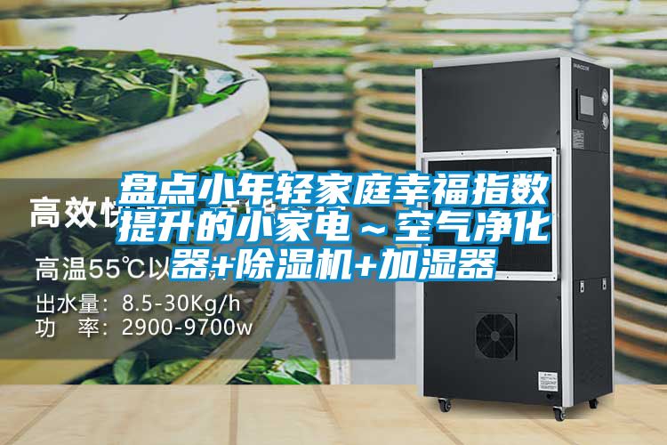 盤點小年輕家庭幸福指數(shù)提升的小家電~空氣凈化器+除濕機+加濕器