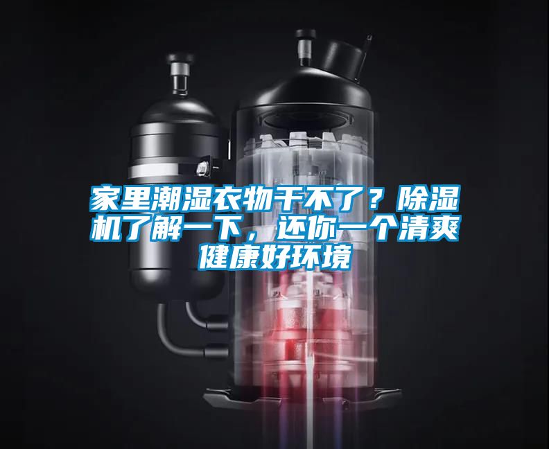 家里潮濕衣物干不了?除濕機了解一下,還你一個清爽健康好環(huán)境