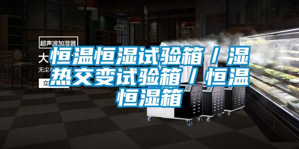 恒溫恒濕試驗箱/濕熱交變試驗箱/恒溫恒濕箱