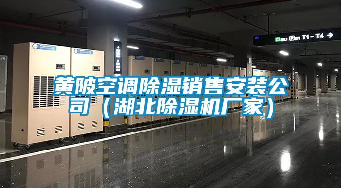 黃陂空調除濕銷售安裝公司(湖北除濕機廠家)