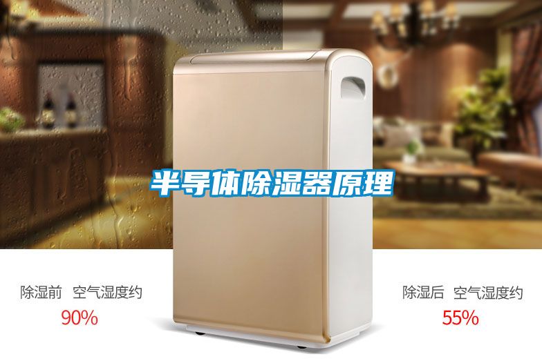 半導(dǎo)體除濕器原理