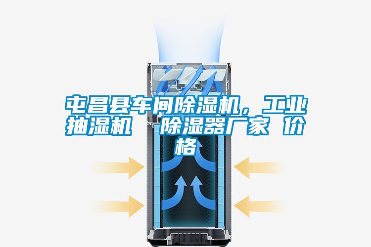 屯昌縣車間除濕機,工業抽濕機 除濕器廠家 價格