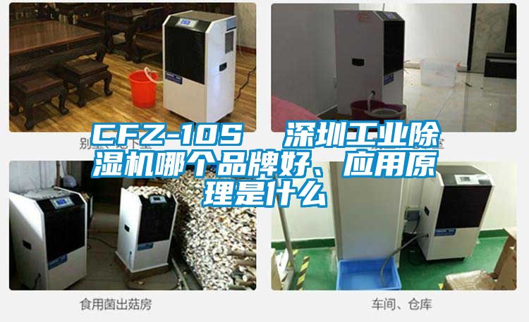 CFZ-10S  深圳工業(yè)除濕機(jī)哪個(gè)品牌好、應(yīng)用原理是什么